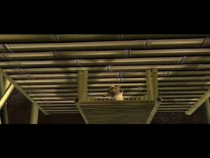 Madagascar 2 Walkthrough #3 - Preparing for the Flight