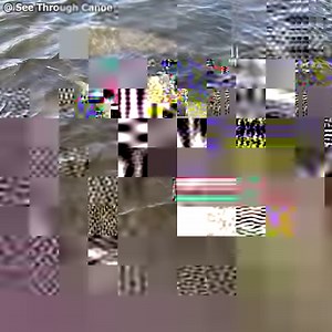 The dolphin and manatees came by and checked out the canoe at the same time while canoeing near Weeki Wachee yesterday. The dolphin didn't hang out very long, it stayed about 10 minutes and passed by and under the canoe a few times. The manatees hung out for a long time though. There was a green sea turtle in the mix but didn't get a very good video of it so it wasn't included. Having these interactions consistently is ALL about the approach... or lack thereof. The best way to consistently have 