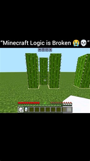 “Minecraft Logic That Makes ZERO Sense 😭💀”