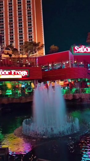 We Party Vegas on TikTok