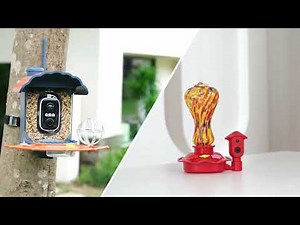 REHENT AI Smart Bird Feeder with Camera