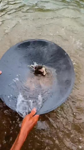 964K views · 6.9K reactions | Underwater gold mining #investment #underwater | Amrin Prospecting | Facebook