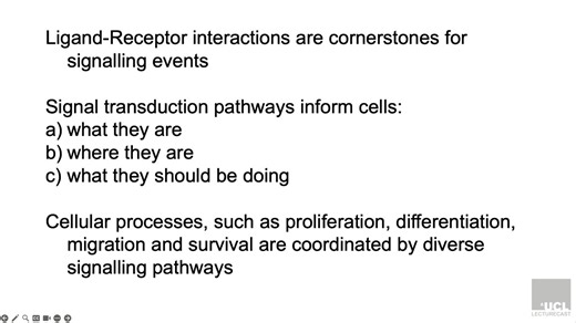 [UCL]Cell0010 L8 W24