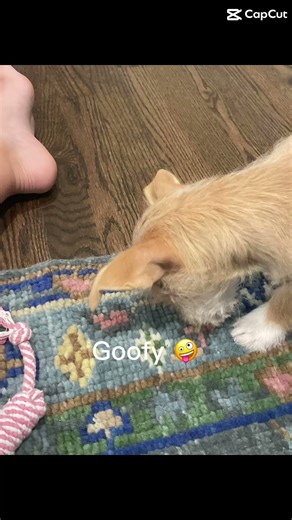 Minnie looks so cute when she is sleeping 😴