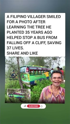 The Tree He Planted 35 Years Ago Just Saved 37 Lives! 🌳❤️#PlantATree #Heroic #TrueStory #Inspiration