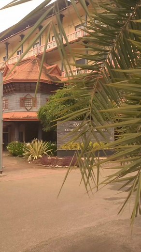 3.8K views · 70 reactions | Experience the vibrant and amazing life...