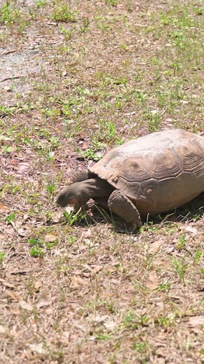 we went outside to touch grass and this is what we found 👀 #minecraft #hypixel