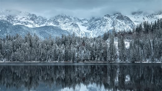 Creative Uses of White Balance for Better Photos