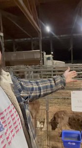 1.1M views · 11K reactions | Elizabeth thinks she knows things, she’s wrong and I’m obligated to educate her as ignorance is something you can correct. The choice is hers, she can learn something or stay ignorant. | TDF Honest Farming | Facebook