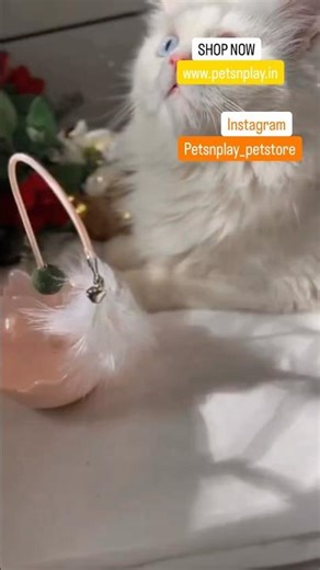 This Toy Feeds Your Cat While They Play #petcare