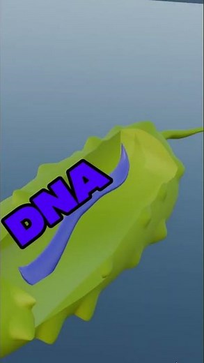 How Bacteria Multiply in Seconds 🤯