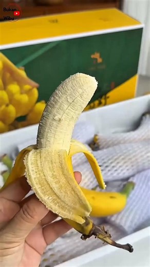 PISANG TERMASUK BUAH BERY #pisang #faktamenarik #faktaunik #shortindonesia #viralindonesia