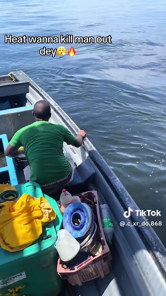 Brawling Highlights from Cedros Caribbean TikTokers