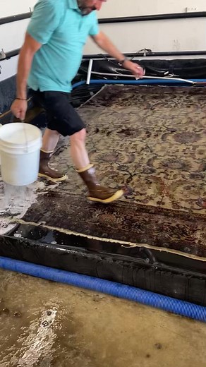 Bucket Time🪣 #rugcleaning #rugwashing #satisfying #oddlysatisfying #rug #rugs #wash #washing #washer #washers #clean #cleaning #cleaner #cleaners #savetherugs #sofresh #soclean #sofreshandsoclean #sofreshsoclean #az #arizona #familybiz | Rug Worx