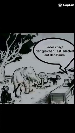 Deutsches Schulsystem in einem Bild erklärt