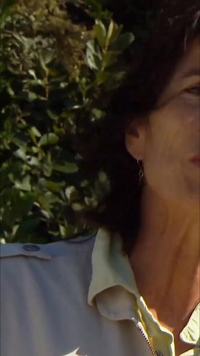 4.8K views · 58 reactions | It's illegal to feed the baboons, and for good reason. These animals are well-fed in their natural habitat. When humans share food, the baboons no longer take humans seriously, becoming dangerous. People think they're helping, but they’re signing the baboons' death warrant. #Baboons #Wildlife #AnimalProtection #Conservation #AnimalBehavior | Real Wild | Facebook