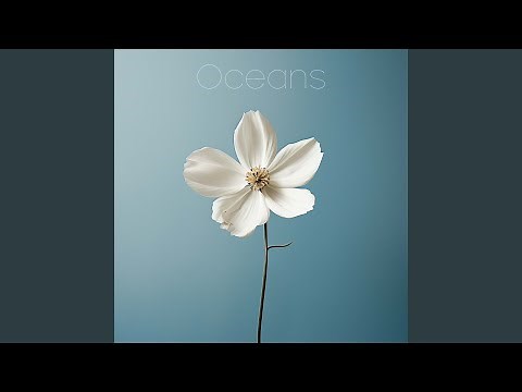Oceans (Where Feet May Fail)