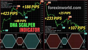 DNA Scalper Indicator (Download link inside)