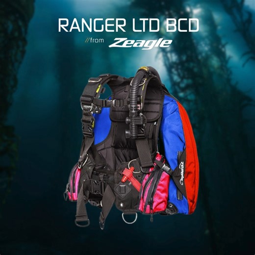 The legendary Ranger—elevated. The Ranger LTD BCD brings precision, adaptability, and rugged endurance to an already iconic design. ✔️ 44 lb lift capacity ballistic bladder ✔️ PFS Modular Sizing for a custom fit ✔️ Multiple stainless steel D-rings for pro-level configuration ✔️ Reinforced 1050 denier ballistic nylon construction ✔️ Zippered attachment system for add-ons & accessories ✔️ Single or twin tank capable 🎨 Make it yours — customize your Ranger LTD with bold color options that match yo