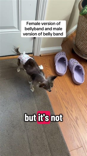 Female version of a belly band