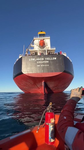 Exploring the World's Largest Bulk Carrier Ship