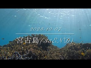 宮古島(35END)でスキンダイビングしてみた！(シュノーケリング)