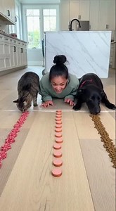 Eating Challenge: Who's the fastest in the house? #eatingchallenge #pets #dog #cat #shorts #comedy