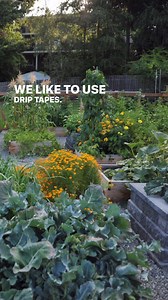 33K views · 174 reactions | Drip irrigation is our preferred method...