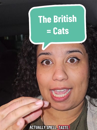 @Phoebe🧡 I have a factoid for you about the British! #satirecomedy #sarcasmspecialist #british #theuk #fyppp