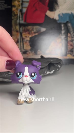 Discover the New Shorthair Littlest Pet Shop Toy!