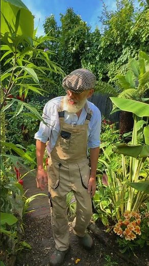 Meet the Kangaroo apple