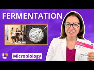 Fermentation: Microbiology Metabolism: Nursing, Pre-Med & Health Field Careers | @LevelUpRN
