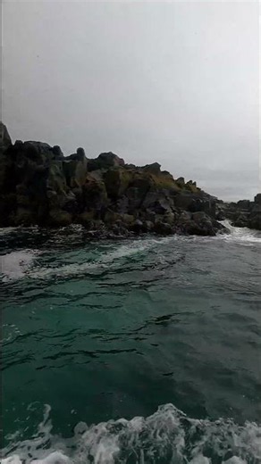 Mykines Island #travel #travelvlog #faroeislands