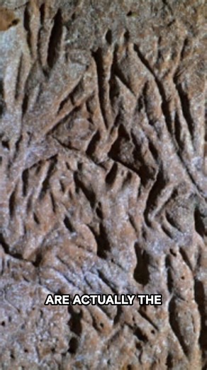 Evidence of Giant Sloths #TheProofIsOutThere New Episodes of The Proof Is Out There Return Fri., Oct. 3 at 10/9c on HISTORY! | HISTORY