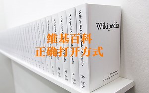 维基百科的正确打开方式——如何用Wikipedia做学术研究？（21世纪自学者指南 刘放斋讲解）