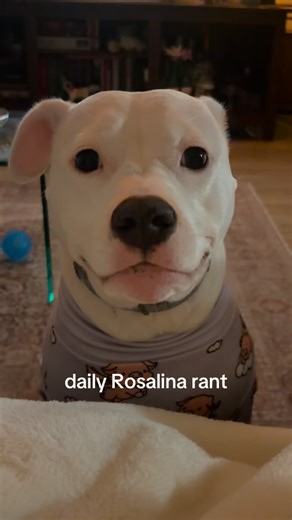 Rosalina 🐾💖 on Instagram: "She is displeased yet again 😭😭🥲"