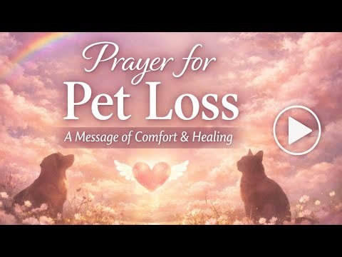 A Prayer for Pet Loss 🤍 Comfort for Anyone Grieving a Beloved Pet #petgrief #petloss #catlovers