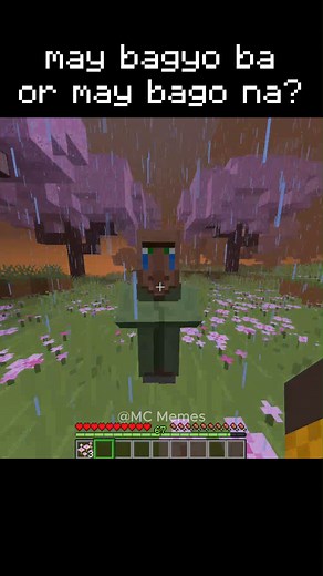 may bagyo ba or may bago na? #minecraft #minecraftmemes #fyp | MC Memes