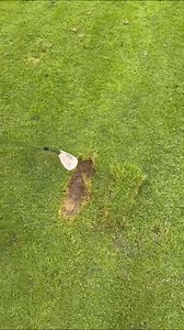 13K views · 11 reactions | Peter Finch Golf on Reels | Facebook