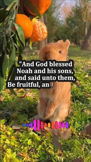 Daily KJV Bible Scripture | Genesis 9:1 | Be Fruitful and Multiply