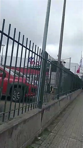 Jingle del Reponedor