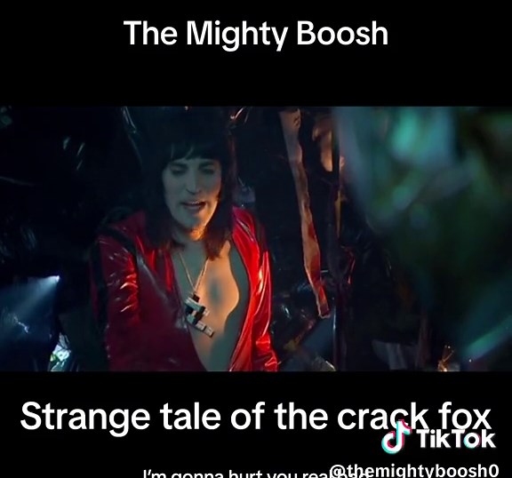 TikTok - Make Your Day