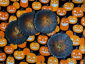 Black and Orange Halloween Geode Resin Coasters - Etsy