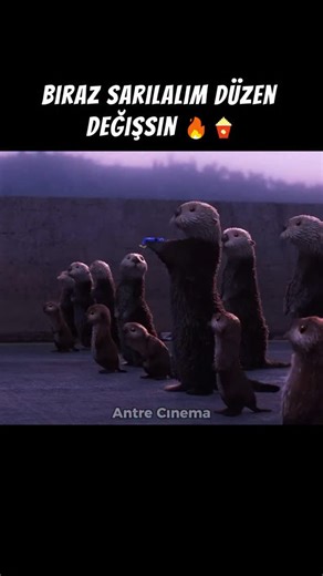 Antre Cinema | Film Sahnesi on Instagram: "🔥 En sevimli, en dokunaklı ve ailecek izlenecek animasyonlar için takibe al: 👉 @antrecinema Film Adı: Dory’yi Bulmak / Finding Dory Çıkış Tarihi: 17 Haziran 2016 (ABD), Türkiye gösterim tarihi: 9 Eylül 2016 IMDb Puanı: 7.3 Unutkan ama iyimser mavi tang balığı Dory, bir gece kaybolmuş ailesine dair bir anıyı hatırlar. Kısa süreli hafızasına rağmen, onları bulmaya karar verir ve en iyi dostları Marlin ile Nemo’yu, okyanusun ötesine, Kaliforniya sahiller