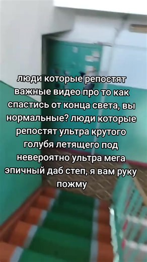 Legendary Pigeon Flying to Epic Dubstep Music - Mind-Blowing Video