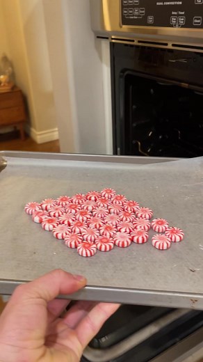 DIY peppermint plate! | Emily and Julien