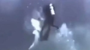 Moment shark attacks four divers as beast slams into tourists in the Maldives