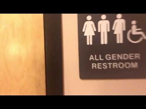 Gender Neutral Multi Stall Bathroom