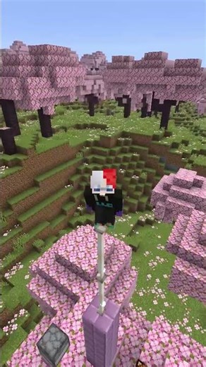 Secret Recipes Of Minecraft ?