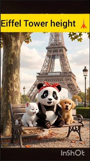 Do You Know the Height of the Eiffel Tower ? 🗼✨